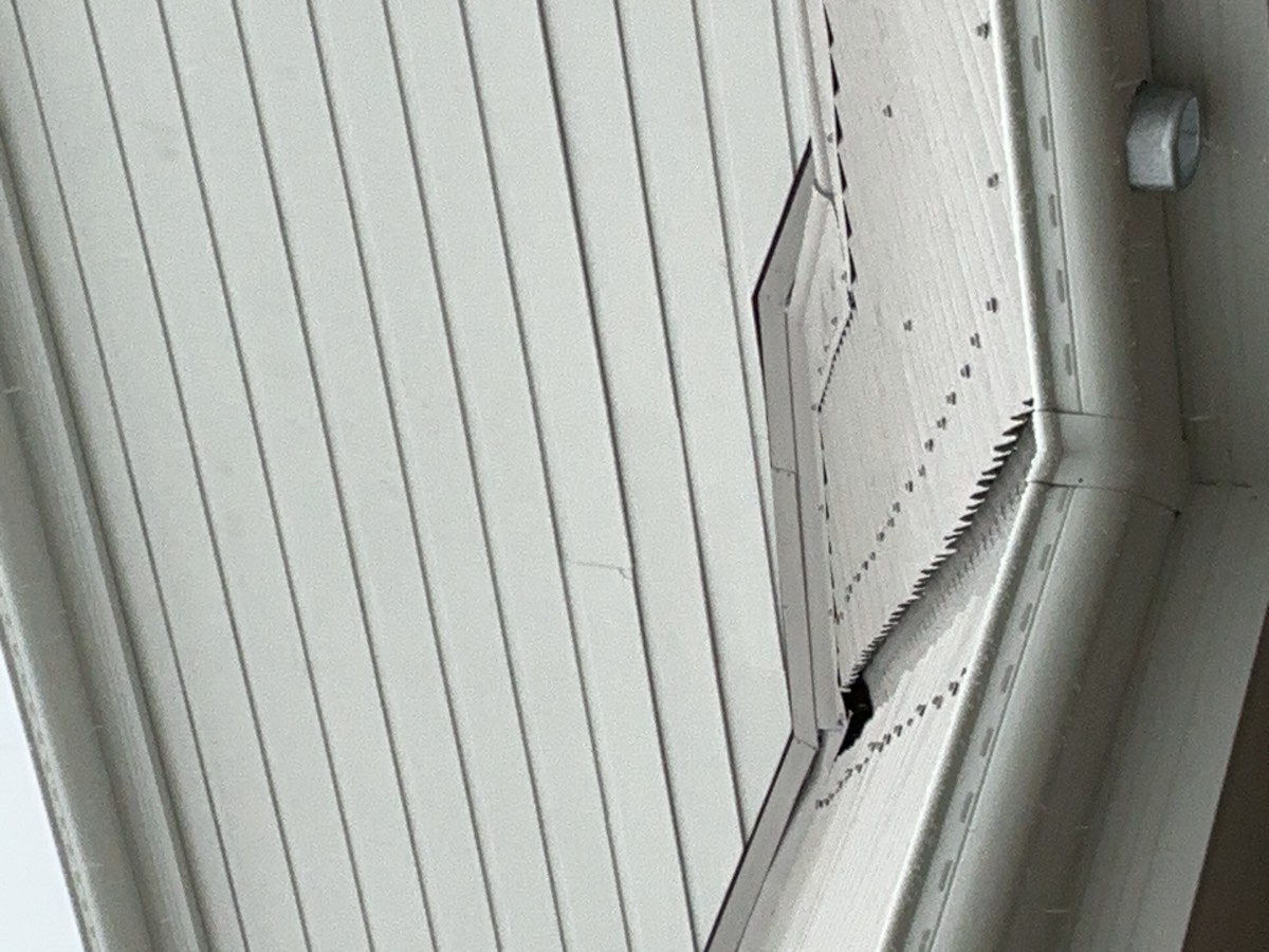 Cladding at lock-up, Leppington