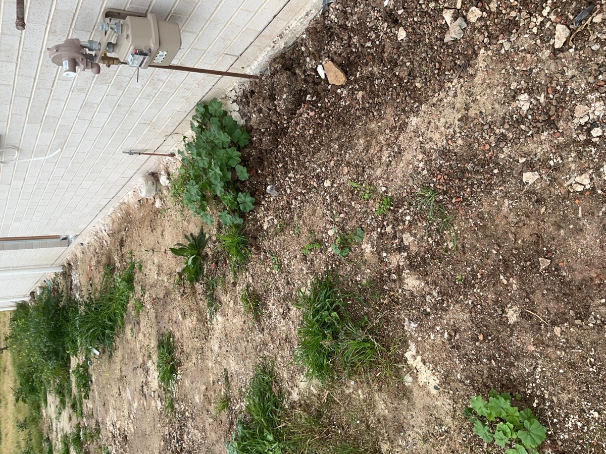 Grading required at fixing stage, Leppington
