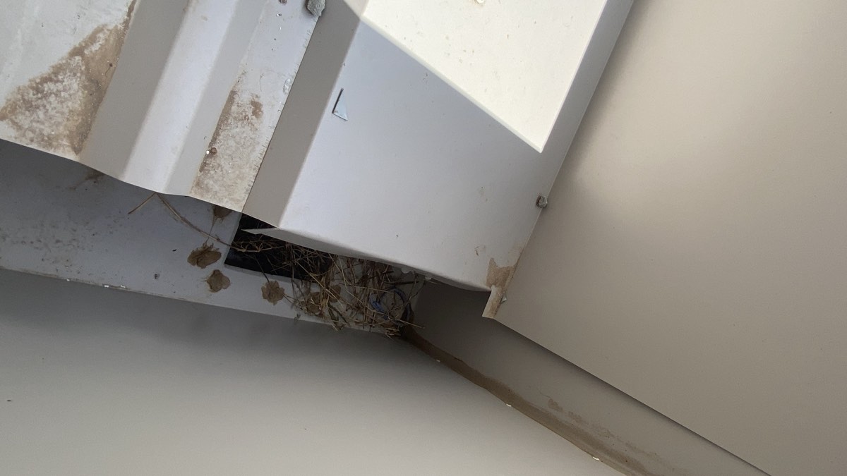 Sump size, recorded during a handover inspection in Leppington